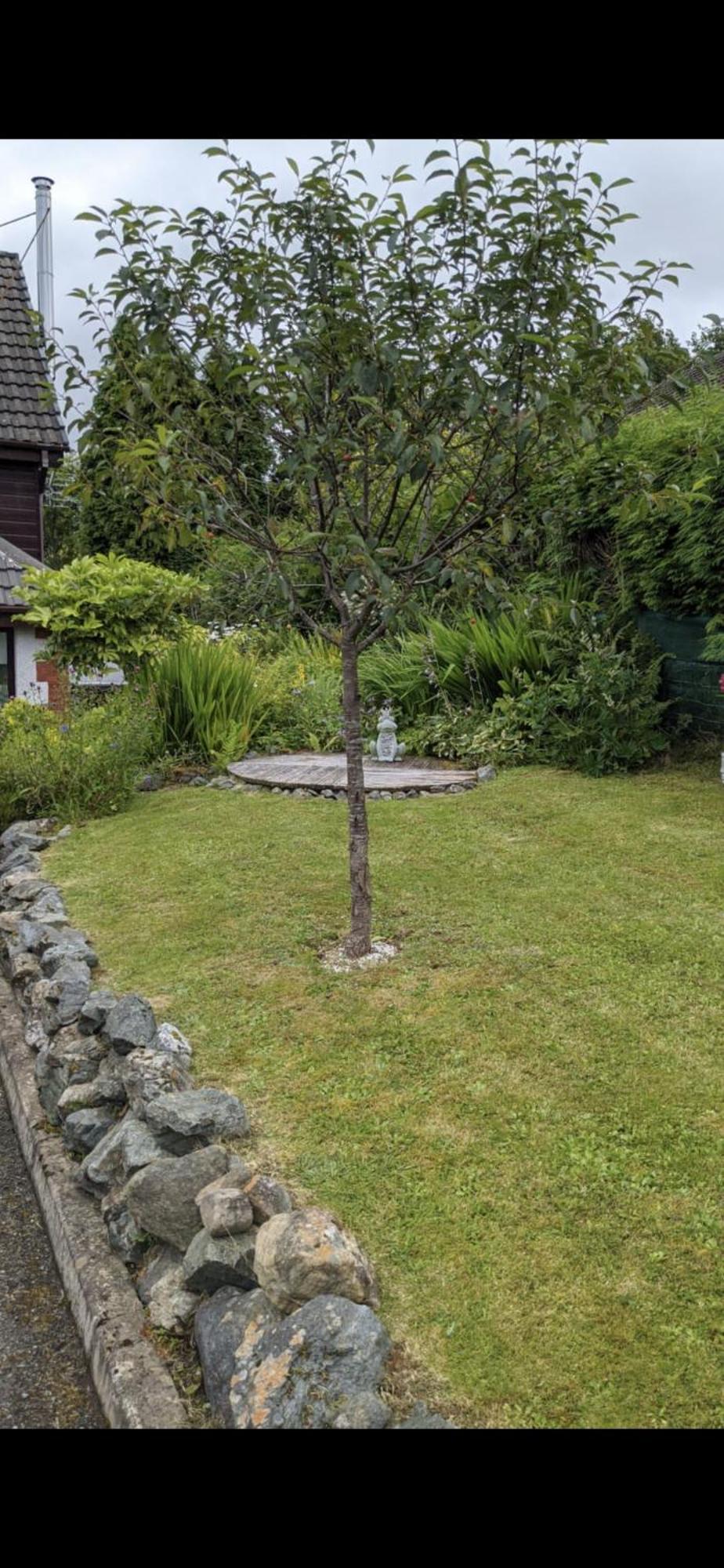Contemporary Highland House Close To Town And Ben Nevis Fort William Eksteriør bilde
